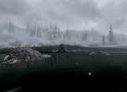 The Elder Scrolls V: Skyrim