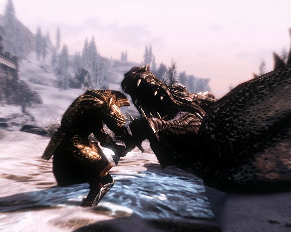 The Elder Scrolls V: Skyrim