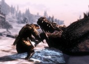 The Elder Scrolls V: Skyrim