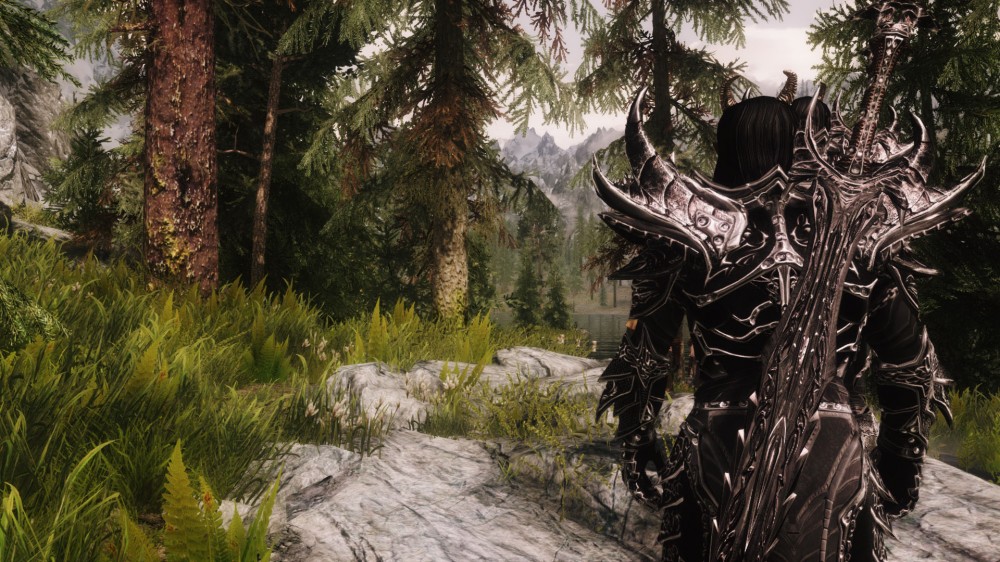 The Elder Scrolls V: Skyrim