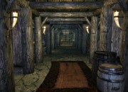 The Elder Scrolls V: Skyrim