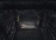 The Elder Scrolls V: Skyrim