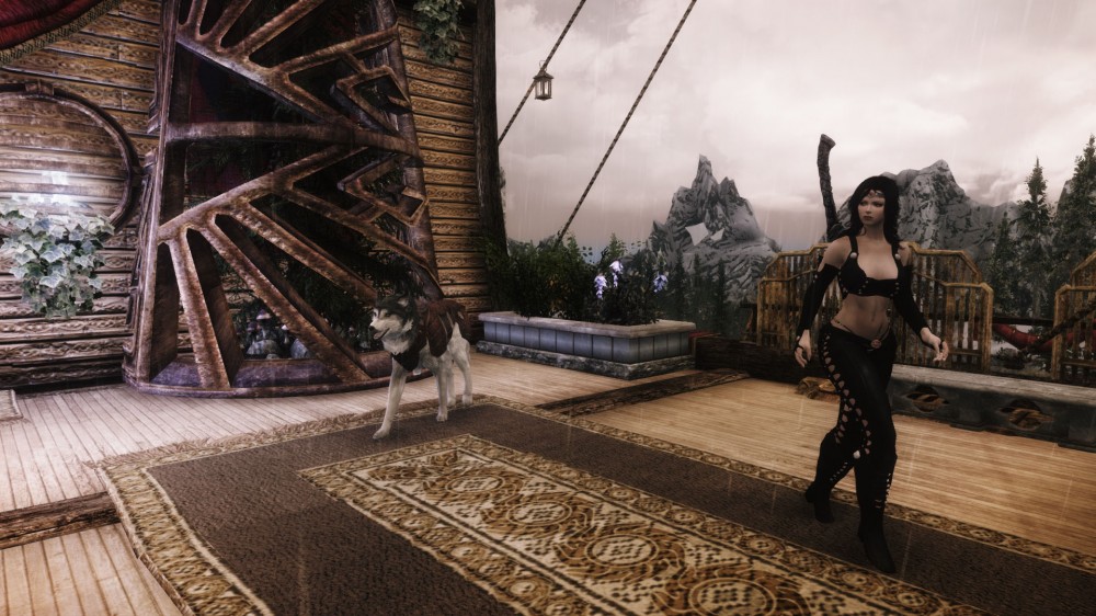 The Elder Scrolls V: Skyrim