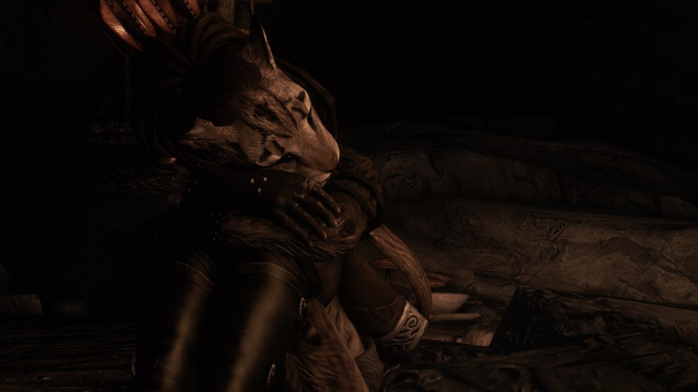 The Elder Scrolls V: Skyrim