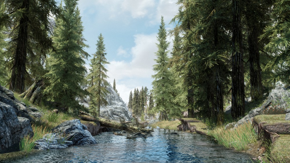 The Elder Scrolls V: Skyrim
