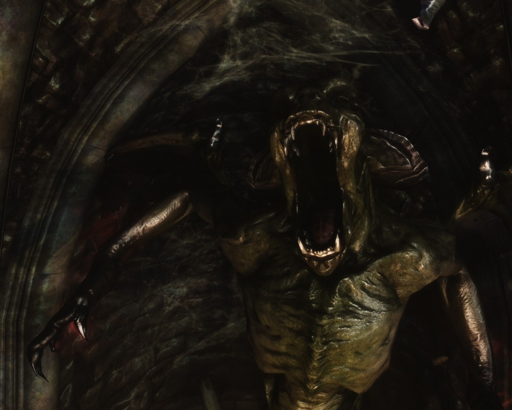 The Elder Scrolls V: Skyrim