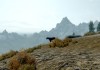 The Elder Scrolls V: Skyrim