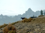 The Elder Scrolls V: Skyrim