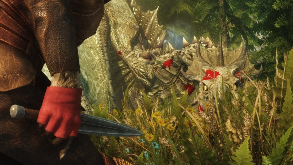 The Elder Scrolls V: Skyrim