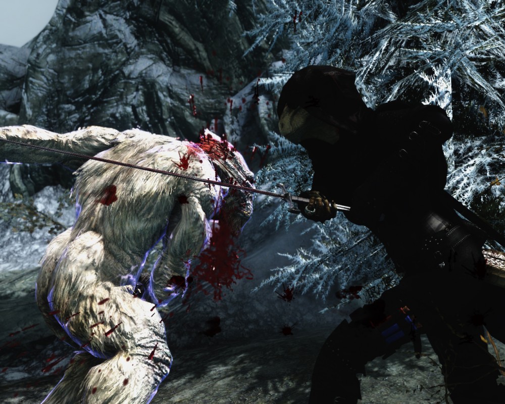 The Elder Scrolls V: Skyrim