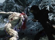 The Elder Scrolls V: Skyrim