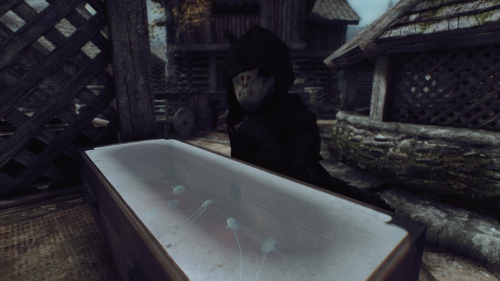 The Elder Scrolls V: Skyrim