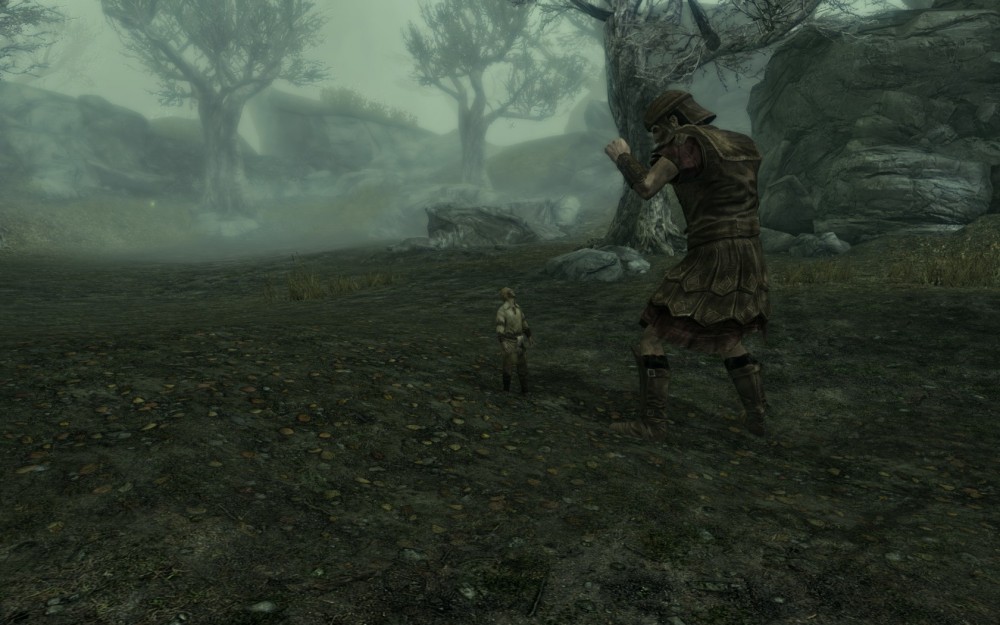 The Elder Scrolls V: Skyrim