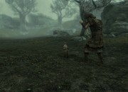 The Elder Scrolls V: Skyrim