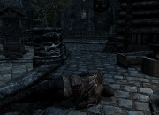The Elder Scrolls V: Skyrim