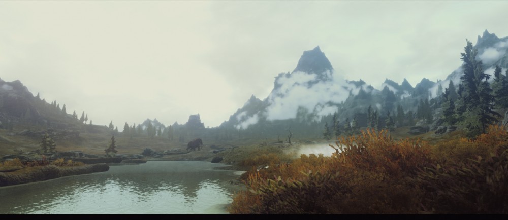 The Elder Scrolls V: Skyrim