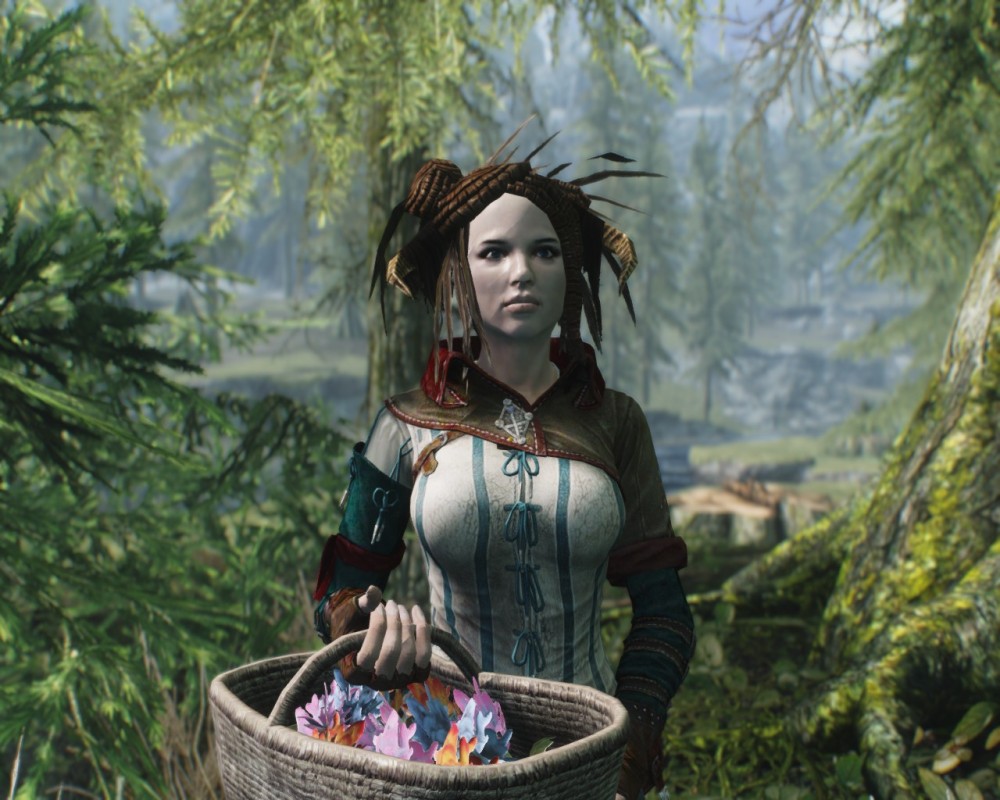 The Elder Scrolls V: Skyrim