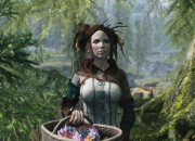 The Elder Scrolls V: Skyrim