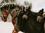 The Elder Scrolls V: Skyrim