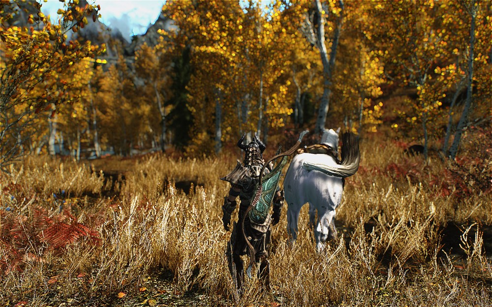 The Elder Scrolls V: Skyrim