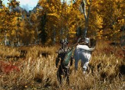 The Elder Scrolls V: Skyrim