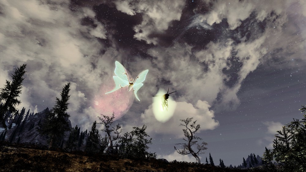 The Elder Scrolls V: Skyrim