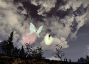 The Elder Scrolls V: Skyrim