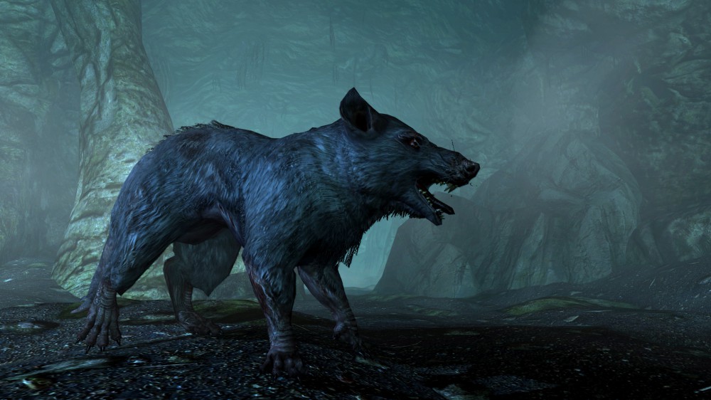The Elder Scrolls V: Skyrim