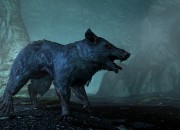 The Elder Scrolls V: Skyrim