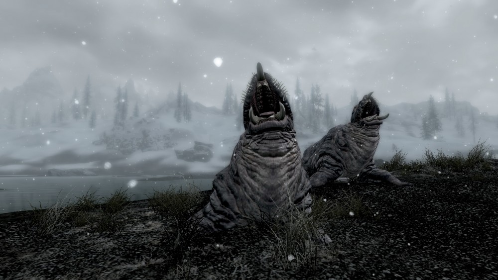 The Elder Scrolls V: Skyrim