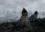 The Elder Scrolls V: Skyrim