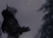 The Elder Scrolls V: Skyrim