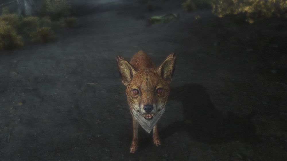 The Elder Scrolls V: Skyrim