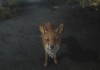The Elder Scrolls V: Skyrim thumbnail