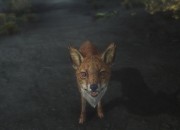 The Elder Scrolls V: Skyrim