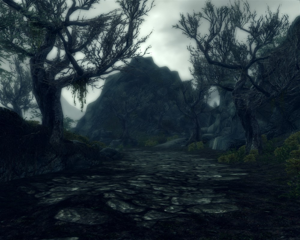 The Elder Scrolls V: Skyrim