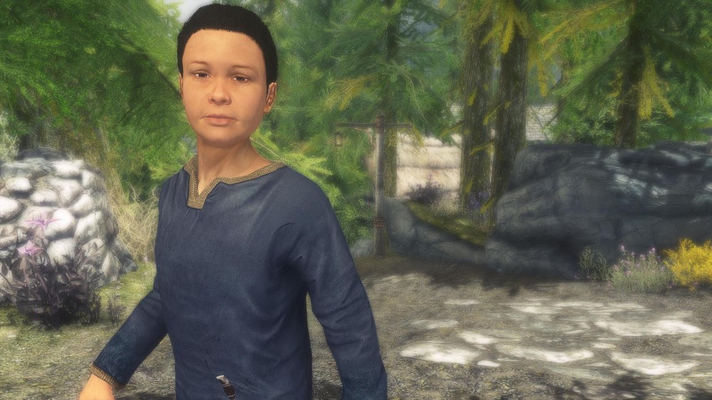 The Elder Scrolls V: Skyrim