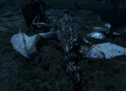The Elder Scrolls V: Skyrim