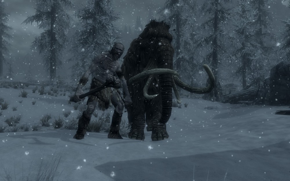The Elder Scrolls V: Skyrim