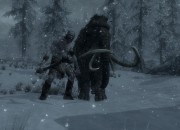 The Elder Scrolls V: Skyrim