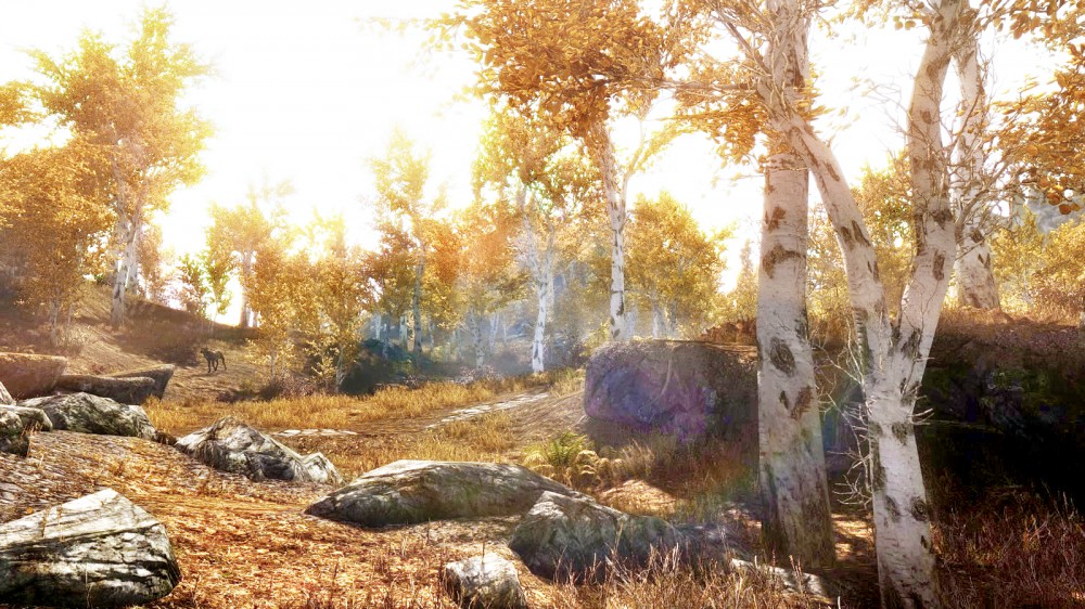 The Elder Scrolls V: Skyrim
