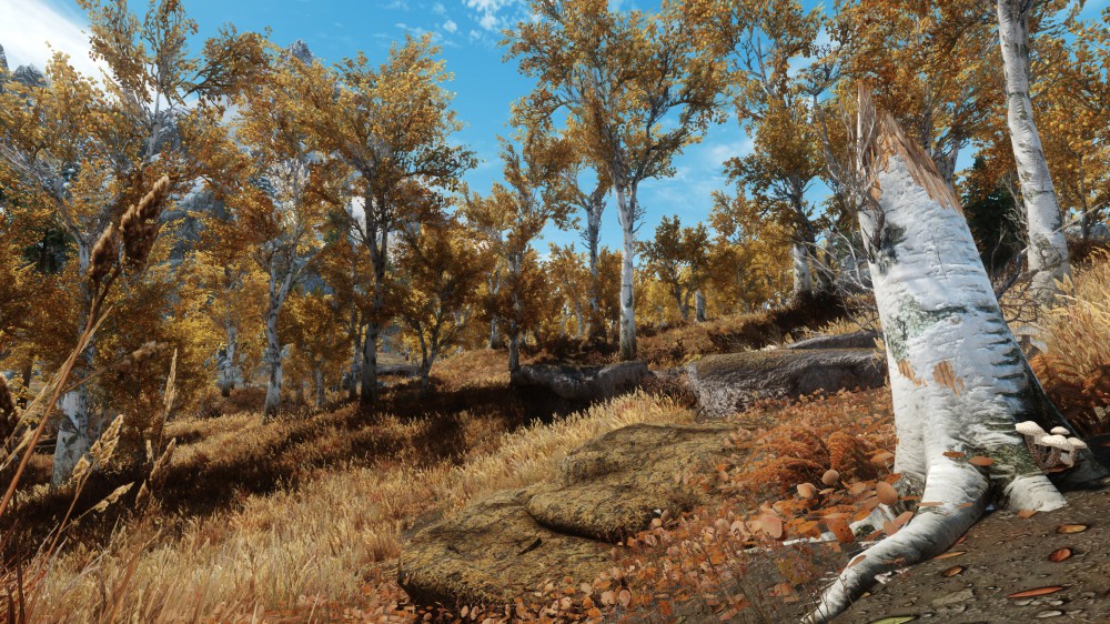 The Elder Scrolls V: Skyrim