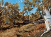 The Elder Scrolls V: Skyrim
