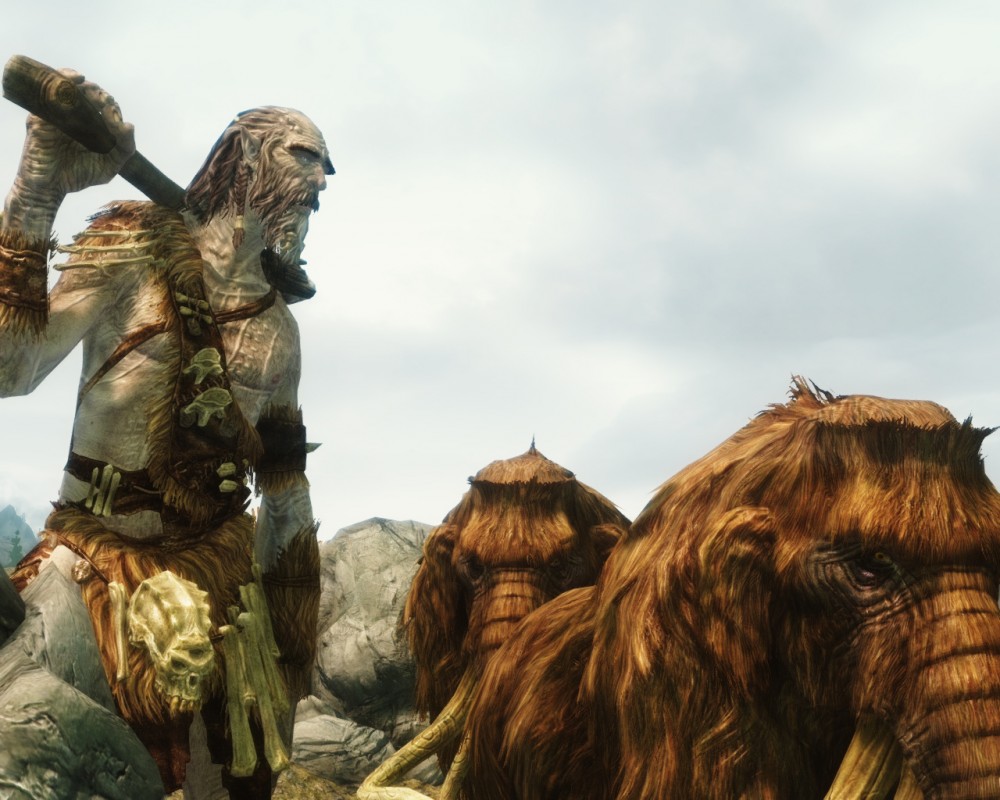 The Elder Scrolls V: Skyrim
