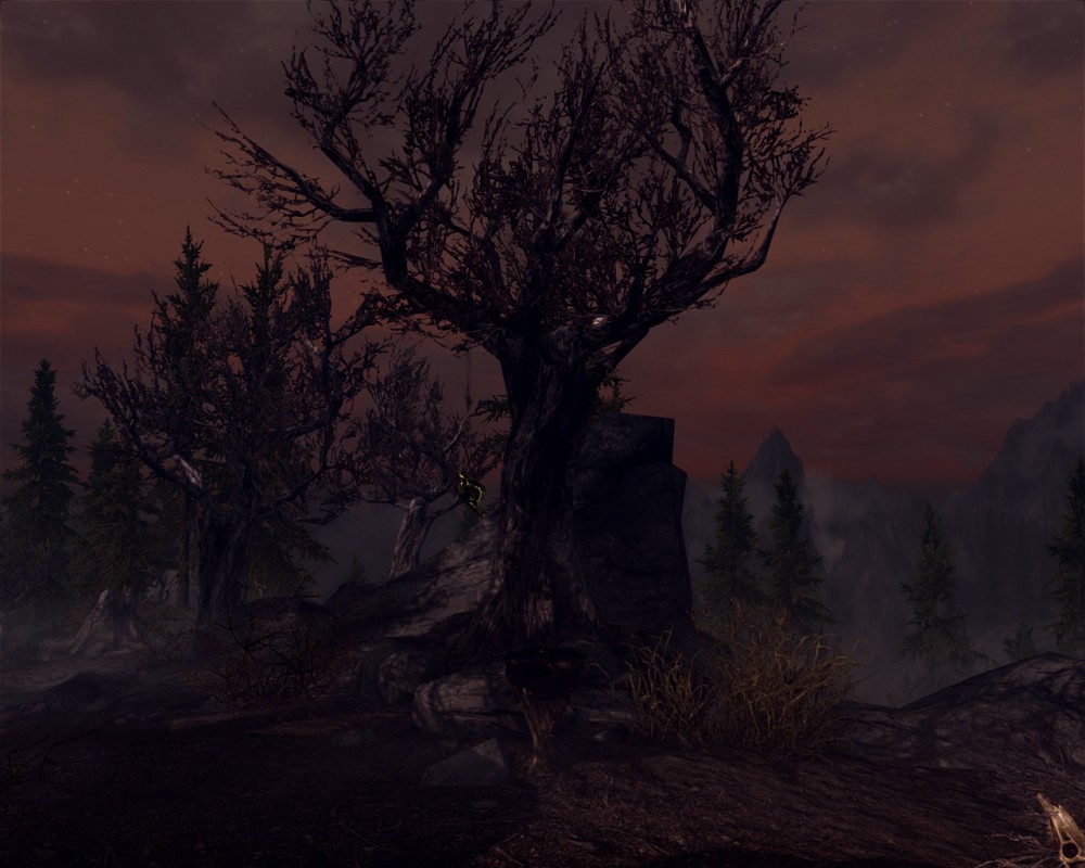 The Elder Scrolls V: Skyrim