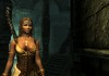 The Elder Scrolls V: Skyrim