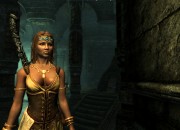 The Elder Scrolls V: Skyrim
