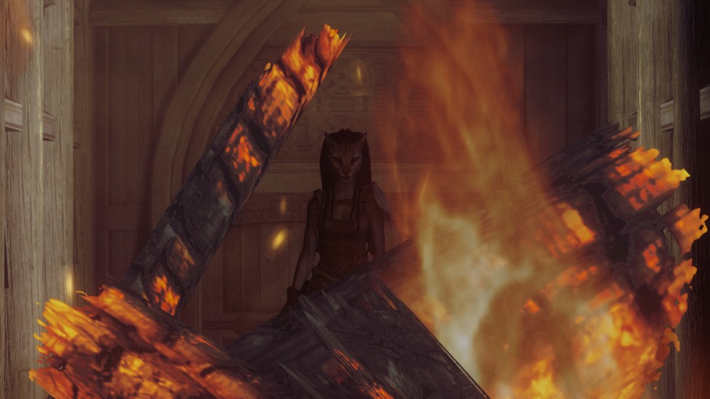 The Elder Scrolls V: Skyrim