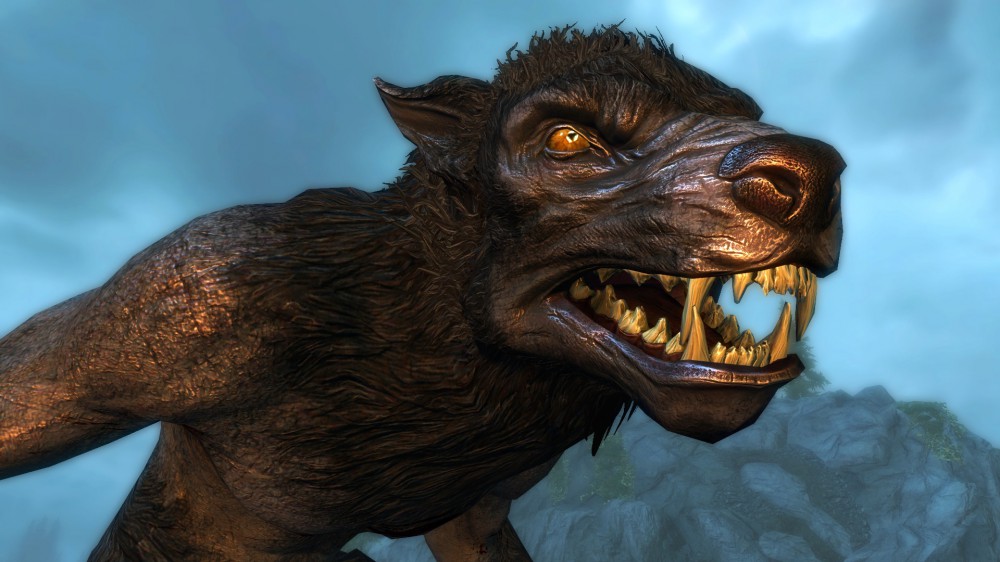The Elder Scrolls V: Skyrim