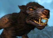 The Elder Scrolls V: Skyrim